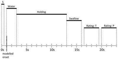 From Thirst to Satiety: The Anterior Mid-Cingulate Cortex and Right Posterior Insula Indicate Dynamic Changes in Incentive Value